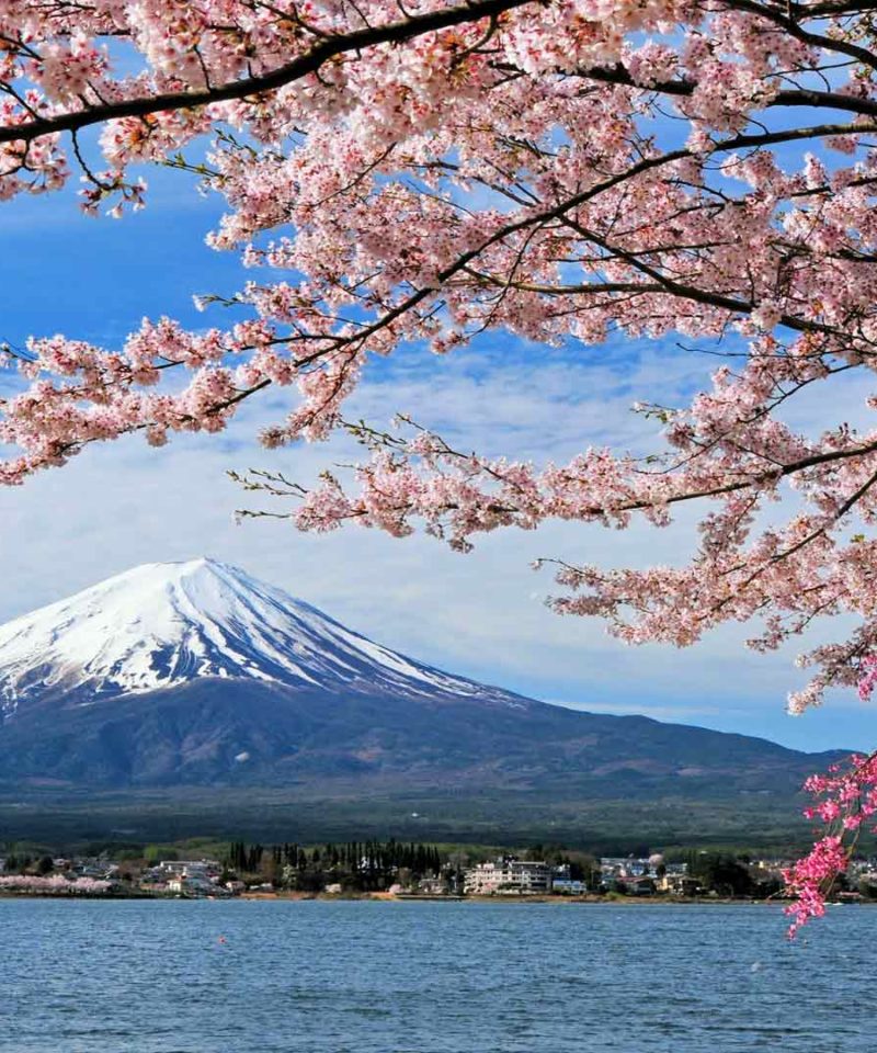Espectacular viaje Japón compartido- Monte Fuji