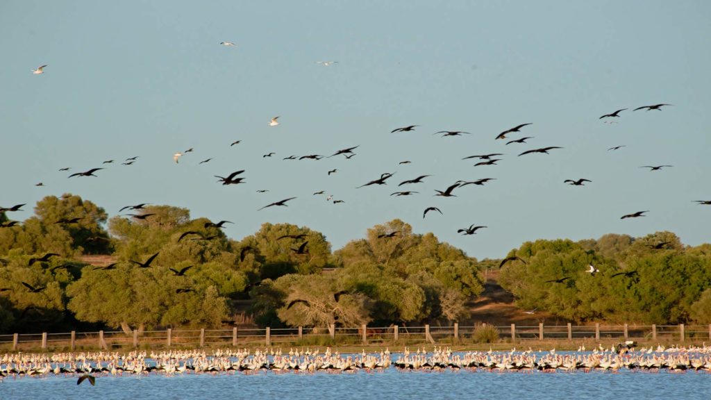 Aventura en Huelva y Portugal Puente del Pilar