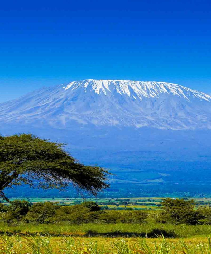 Tanzania para singles